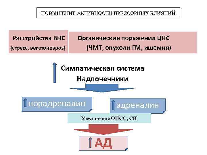 ПОВЫШЕНИЕ АКТИВНОСТИ ПРЕССОРНЫХ ВЛИЯНИЙ Расстройства ВНС (стресс, вегетоневроз) Органические поражения ЦНС (ЧМТ, опухоли ГМ,