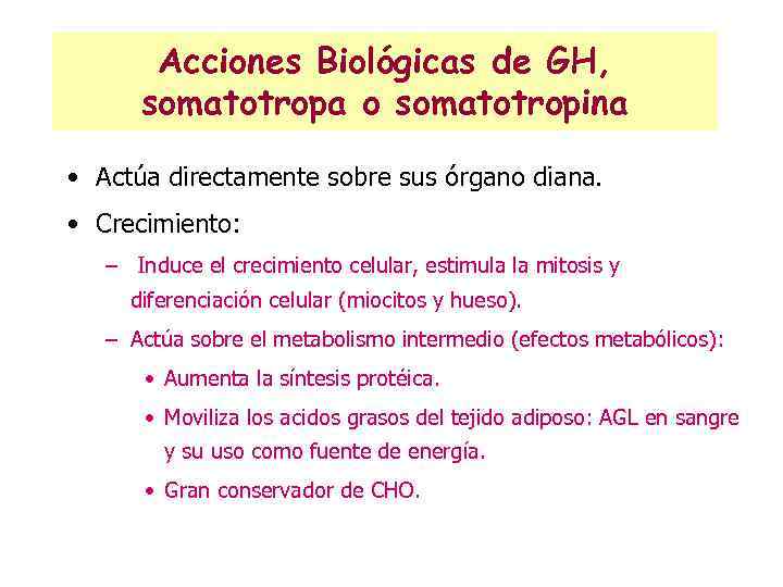 Acciones Biológicas de GH, somatotropa o somatotropina • Actúa directamente sobre sus órgano diana.