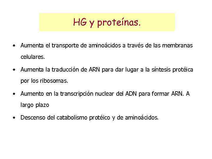 HG y proteínas. • Aumenta el transporte de aminoácidos a través de las membranas