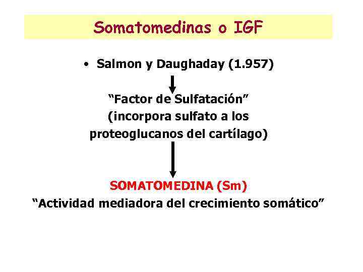 Somatomedinas o IGF • Salmon y Daughaday (1. 957) “Factor de Sulfatación” (incorpora sulfato