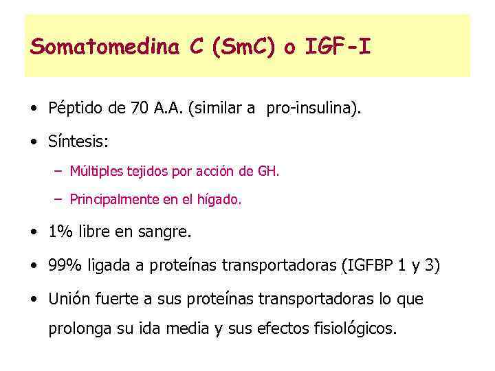 Somatomedina C (Sm. C) o IGF-I • Péptido de 70 A. A. (similar a