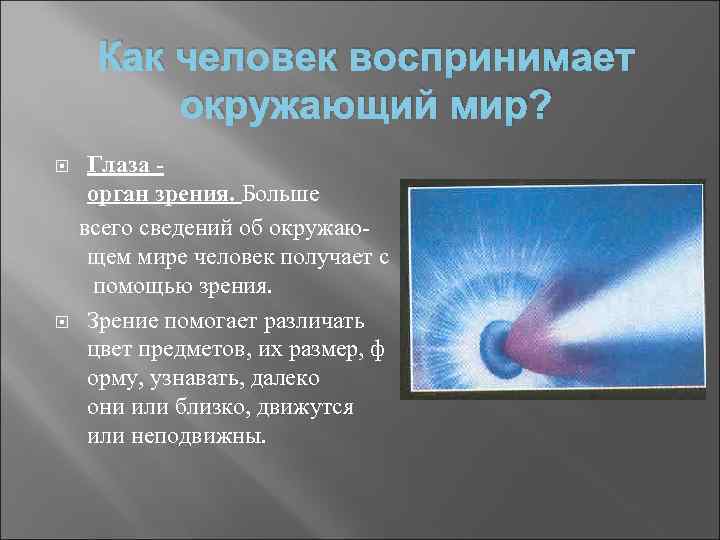 Как человек воспринимает окружающий мир? Глаза орган зрения. Больше всего сведений об окружающем мире