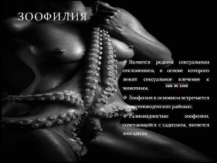 ЗООФИЛИЯ v Является редким сексуальным отклонением, в основе которого лежит сексуальное влечение к животным.