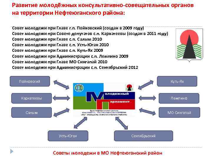 Развитие молодёжных консультативно-совещательных органов на территории Нефтеюганского района: Совет молодежи при Главе г. п.