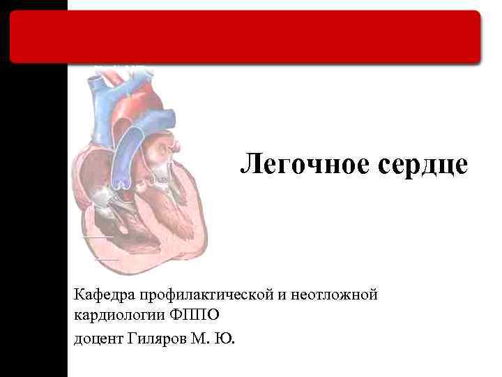 Легочное сердце Кафедра профилактической и неотложной кардиологии ФППО доцент Гиляров М. Ю. 