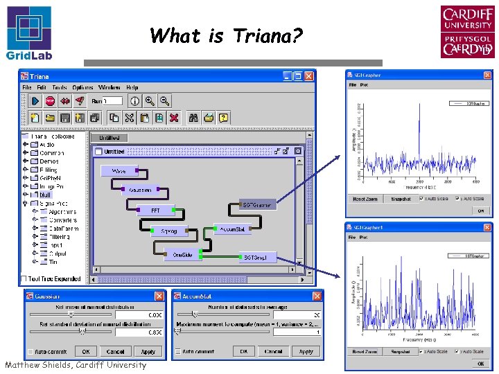 What is Triana? Matthew Shields, Cardiff University 