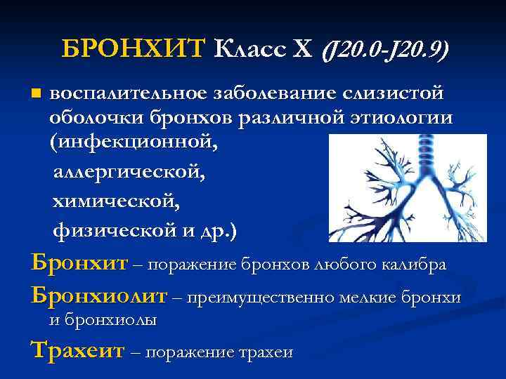 БРОНХИТ Класс X (J 20. 0 -J 20. 9) n воспалительное заболевание слизистой оболочки