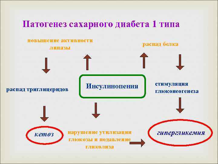 Патогенез сахарного диабета 1 типа повышение активности липазы распад триглицеридов кетоз Инсулинопения нарушение утилизации
