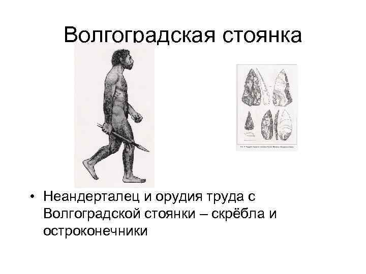 Волгоградская стоянка • Неандерталец и орудия труда с Волгоградской стоянки – скрёбла и остроконечники