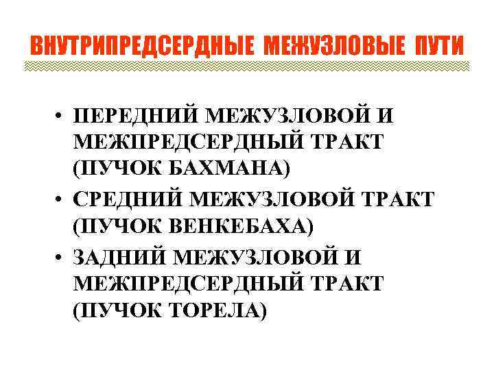 ВНУТРИПРЕДСЕРДНЫЕ МЕЖУЗЛОВЫЕ ПУТИ • ПЕРЕДНИЙ МЕЖУЗЛОВОЙ И МЕЖПРЕДСЕРДНЫЙ ТРАКТ (ПУЧОК БАХМАНА) • СРЕДНИЙ МЕЖУЗЛОВОЙ