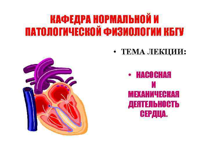 КАФЕДРА НОРМАЛЬНОЙ И ПАТОЛОГИЧЕСКОЙ ФИЗИОЛОГИИ КБГУ • ТЕМА ЛЕКЦИИ: • НАСОСНАЯ И МЕХАНИЧЕСКАЯ ДЕЯТЕЛЬНОСТЬ