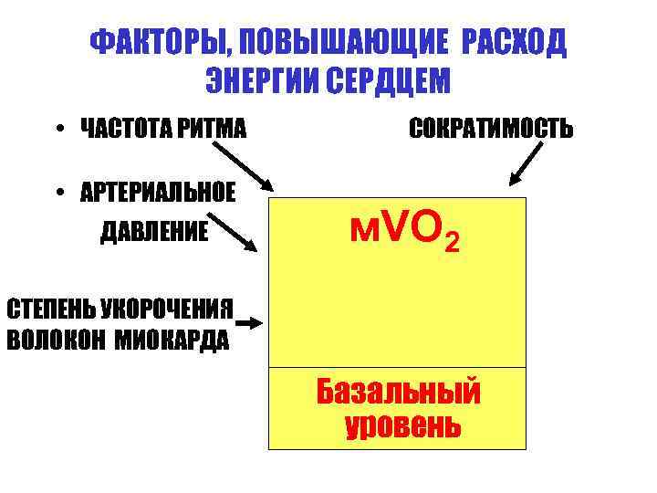 ФАКТОРЫ, ПОВЫШАЮЩИЕ РАСХОД ЭНЕРГИИ СЕРДЦЕМ • ЧАСТОТА РИТМА • АРТЕРИАЛЬНОЕ ДАВЛЕНИЕ СОКРАТИМОСТЬ м. VO