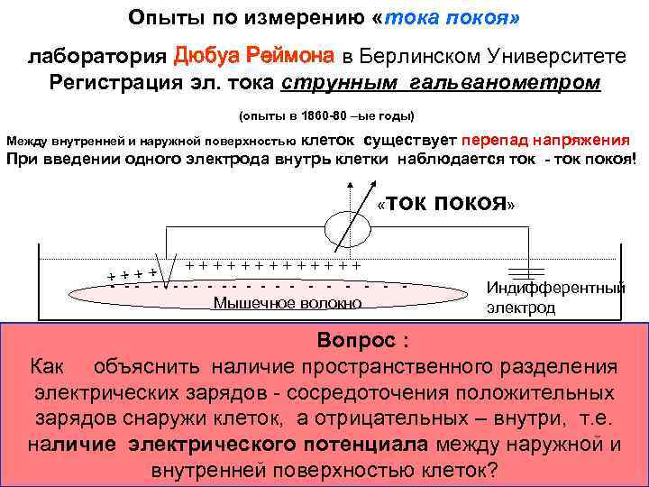 Опыты по измерению «тока покоя» лаборатория Дюбуа Реймона в Берлинском Университете Регистрация эл. тока