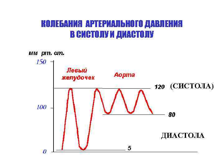 КОЛЕБАНИЯ АРТЕРИАЛЬНОГО ДАВЛЕНИЯ В СИСТОЛУ И ДИАСТОЛУ (СИСТОЛА) ДИАСТОЛА 