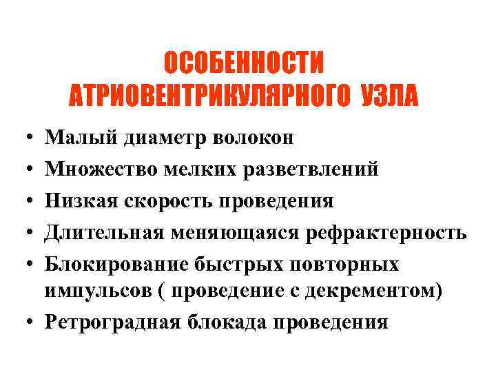 ОСОБЕННОСТИ АТРИОВЕНТРИКУЛЯРНОГО УЗЛА • • • Малый диаметр волокон Множество мелких разветвлений Низкая скорость