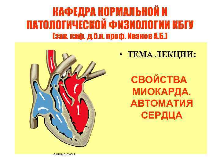 КАФЕДРА НОРМАЛЬНОЙ И ПАТОЛОГИЧЕСКОЙ ФИЗИОЛОГИИ КБГУ (зав. каф. д. б. н. проф. Иванов А.