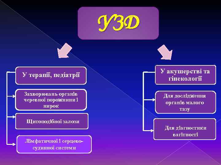 УЗД У терапії, педіатрії У акушерстві та гінекології Захворювань органів черевної порожнини і нирок