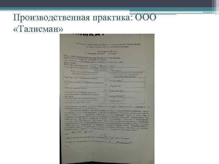 Производственная практика: ООО «Талисман» 