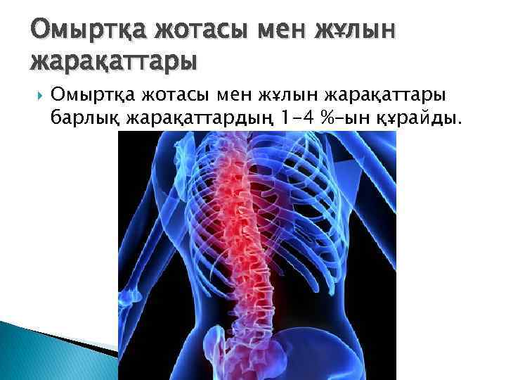 Омыртқа жотасы мен жұлын жарақаттары барлық жарақаттардың 1 -4 %-ын құрайды. 
