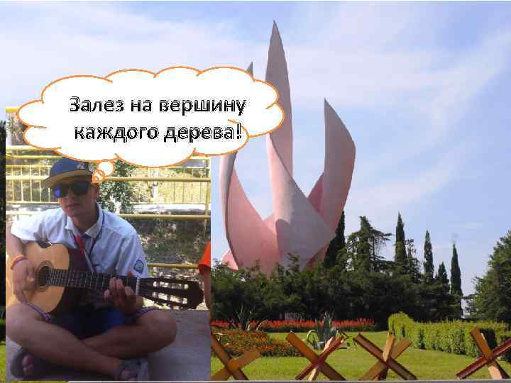 Залез на вершину каждого дерева! 