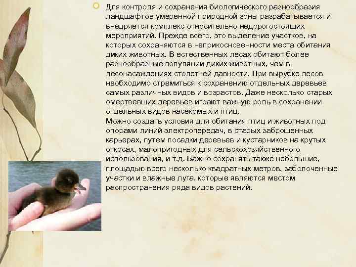 Для контроля и сохранения биологического разнообразия ландшафтов умеренной природной зоны разрабатывается и внедряется комплекс