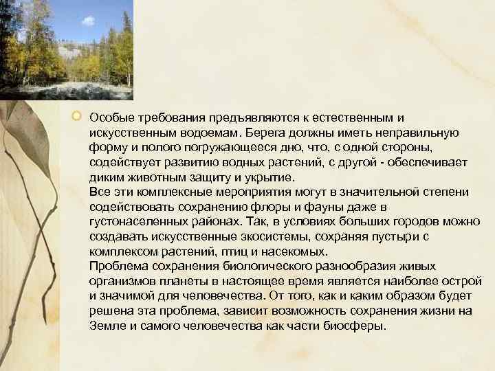 Особые требования предъявляются к естественным и искусственным водоемам. Берега должны иметь неправильную форму и