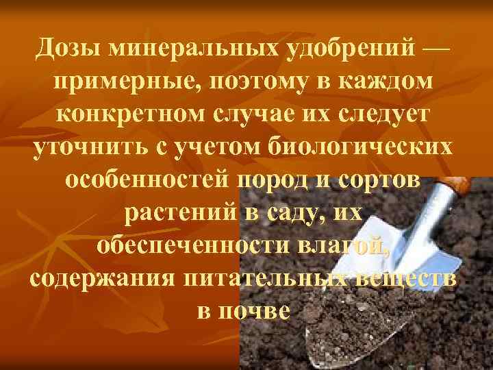 Дозы минеральных удобрений — примерные, поэтому в каждом конкретном случае их следует уточнить с