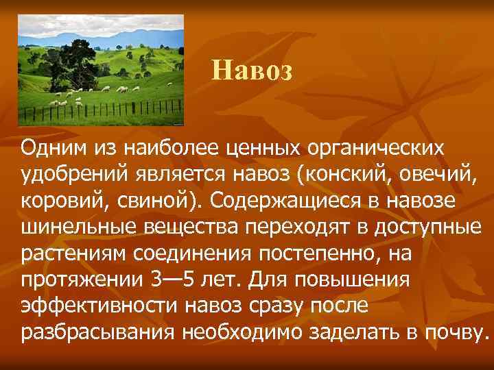 Навоз Одним из наиболее ценных органических удобрений является навоз (конский, овечий, коровий, свиной). Содержащиеся