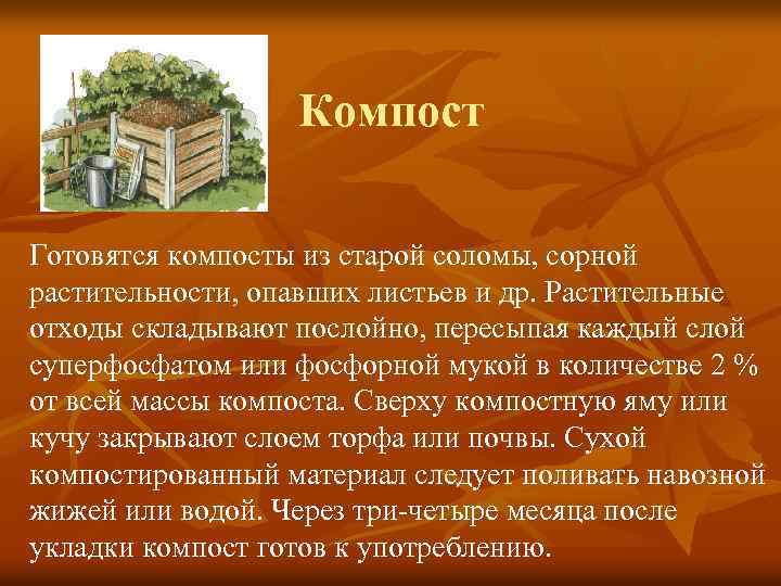 Компост Готовятся компосты из старой соломы, сорной растительности, опавших листьев и др. Растительные отходы