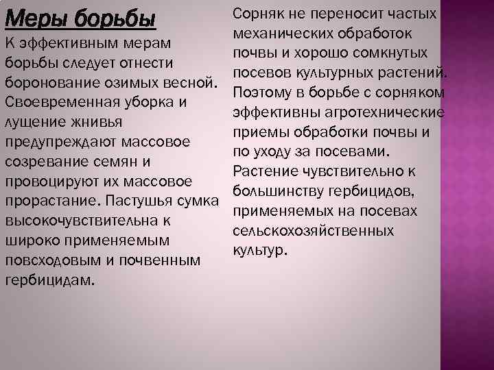Сорняк не переносит частых механических обработок К эффективным мерам почвы и хорошо сомкнутых борьбы