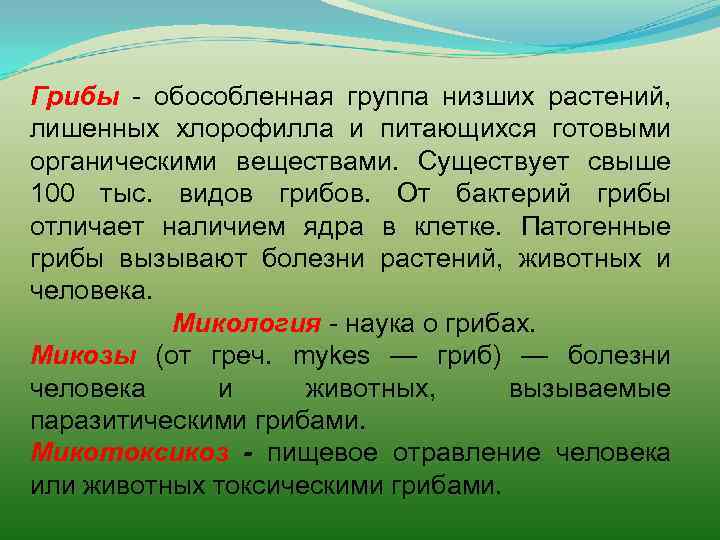 Грибы - обособленная группа низших растений, лишенных хлорофилла и питающихся готовыми органическими веществами. Существует