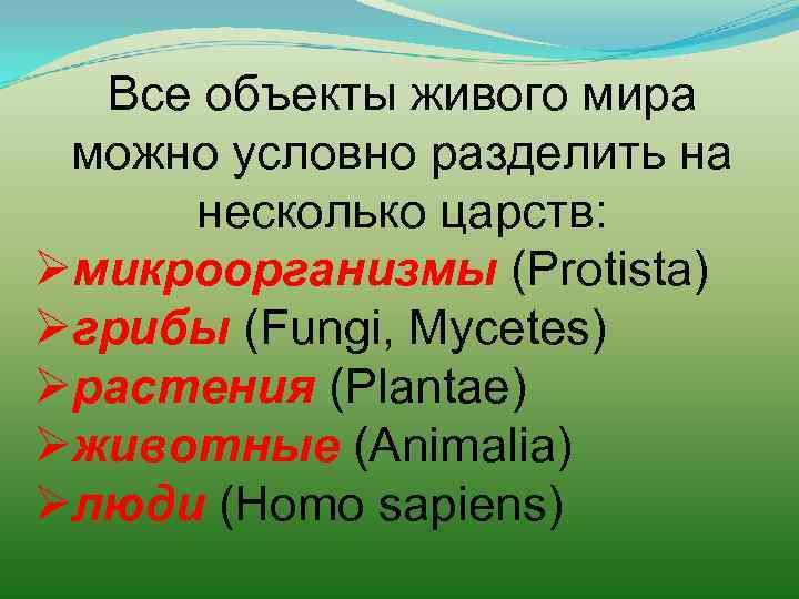 Все объекты живого мира можно условно разделить на несколько царств: Øмикроорганизмы (Protista) Øгрибы (Fungi,