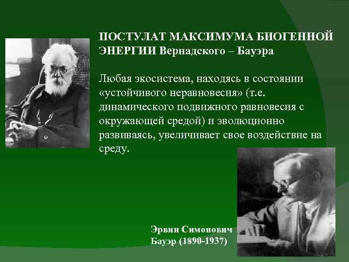 ПОСТУЛАТ МАКСИМУМА БИОГЕННОЙ ЭНЕРГИИ Вернадского – Бауэра Любая экосистема, находясь в состоянии «устойчивого неравновесия»