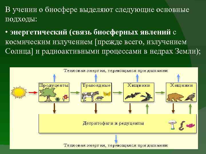 В результате какого основного процесса жизни. Связь биосферы. Процессы в биосфере. Основные подходы учения о биосфере. Энергетический баланс биосферы.