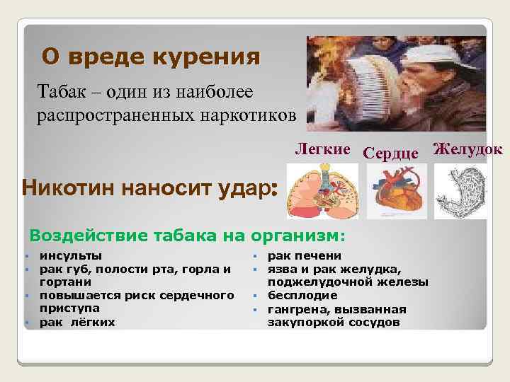 О вреде курения Табак – один из наиболее распространенных наркотиков Легкие Сердце Желудок Никотин