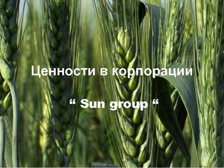 Sun Group Ценности в корпорации “ Sun group “ Sun City Plaza Sun Сity