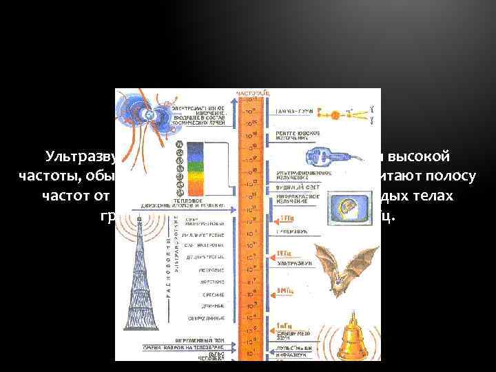 Ультразвук – это упругие звуковые колебания высокой частоты, обычно ультразвуковым диапазоном считают полосу частот