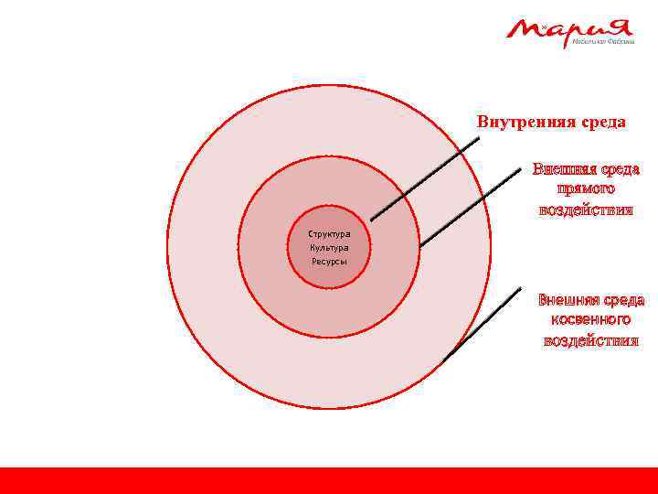 Внутренняя среда Внешняя среда прямого воздействия Структура Культура Ресурсы Внешняя среда косвенного воздействия 