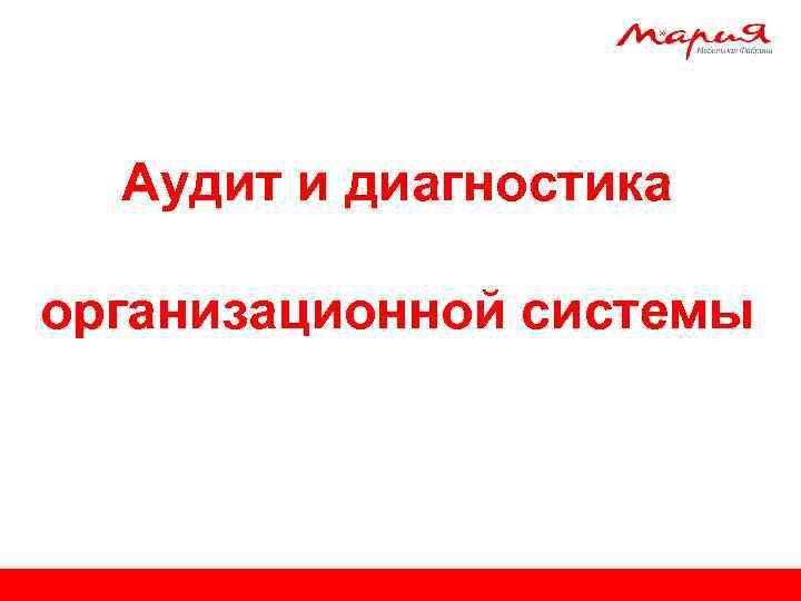 Аудит и диагностика организационной системы 