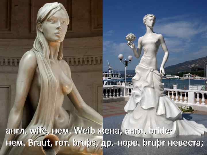 англ. wife, нем. Weib жена, англ. bride; нем. Braut, гот. bruþs, др. -норв. bruþr