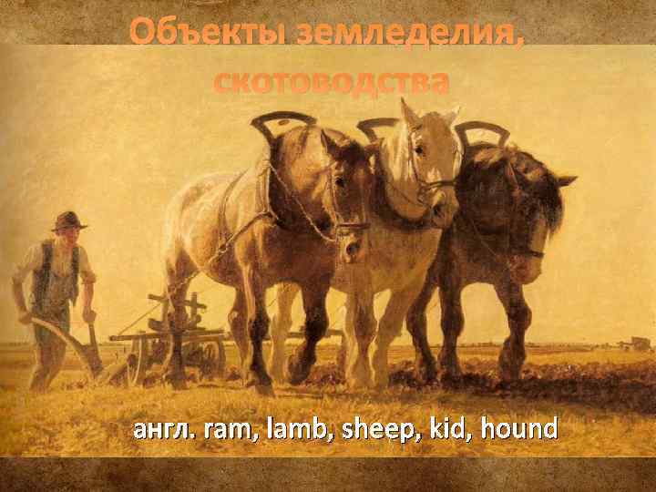 Объекты земледелия, скотоводства англ. ram, lamb, sheep, kid, hound 