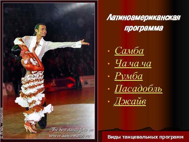Латиноамериканская программа • • • Самба Ча-ча-ча Румба Пасадобль Джайв Виды танцевальных программ 