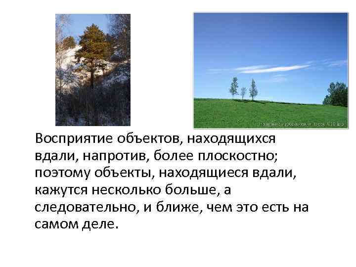 Восприятие объектов, находящихся вдали, напротив, более плоскостно; поэтому объекты, находящиеся вдали, кажутся несколько больше,