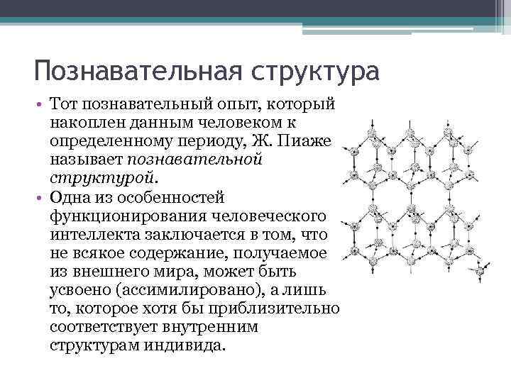 Познавательная структура • Тот познавательный опыт, который накоплен данным человеком к определенному периоду, Ж.