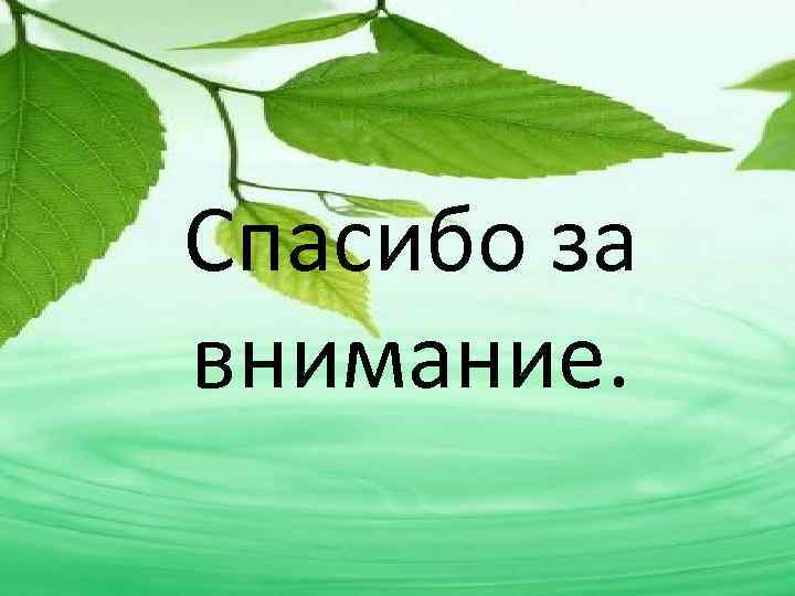 Спасибо за внимание. 