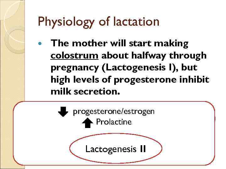 Physiology of lactation The mother will start making colostrum about halfway through pregnancy (Lactogenesis