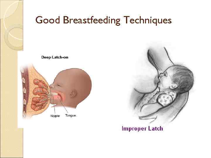 Good Breastfeeding Techniques 