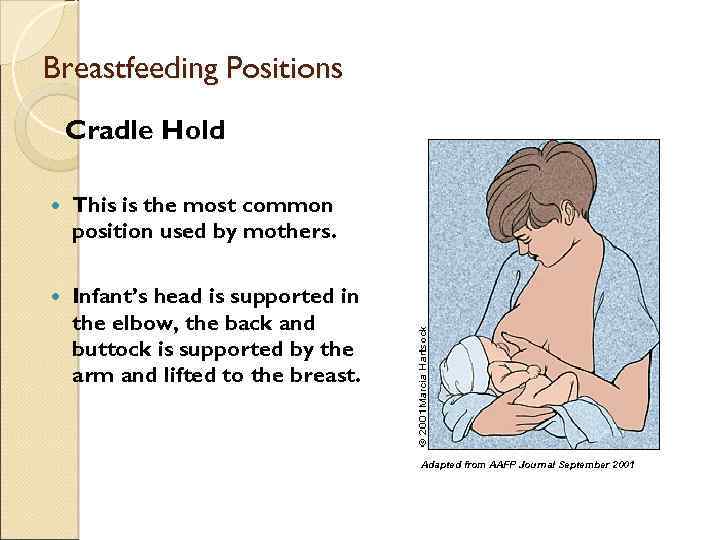 Breastfeeding Positions Cradle Hold This is the most common position used by mothers. Infant’s