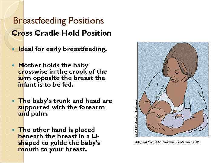 Breastfeeding Positions Cross Cradle Hold Position Ideal for early breastfeeding. Mother holds the baby