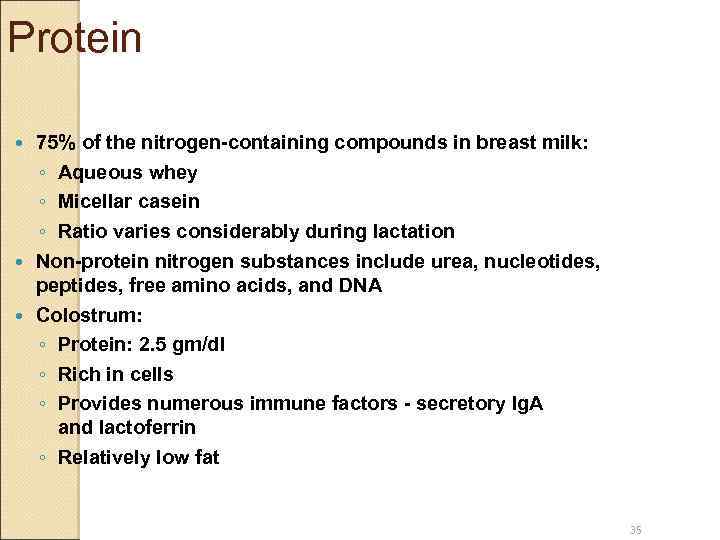 Protein 75% of the nitrogen-containing compounds in breast milk: ◦ Aqueous whey ◦ Micellar